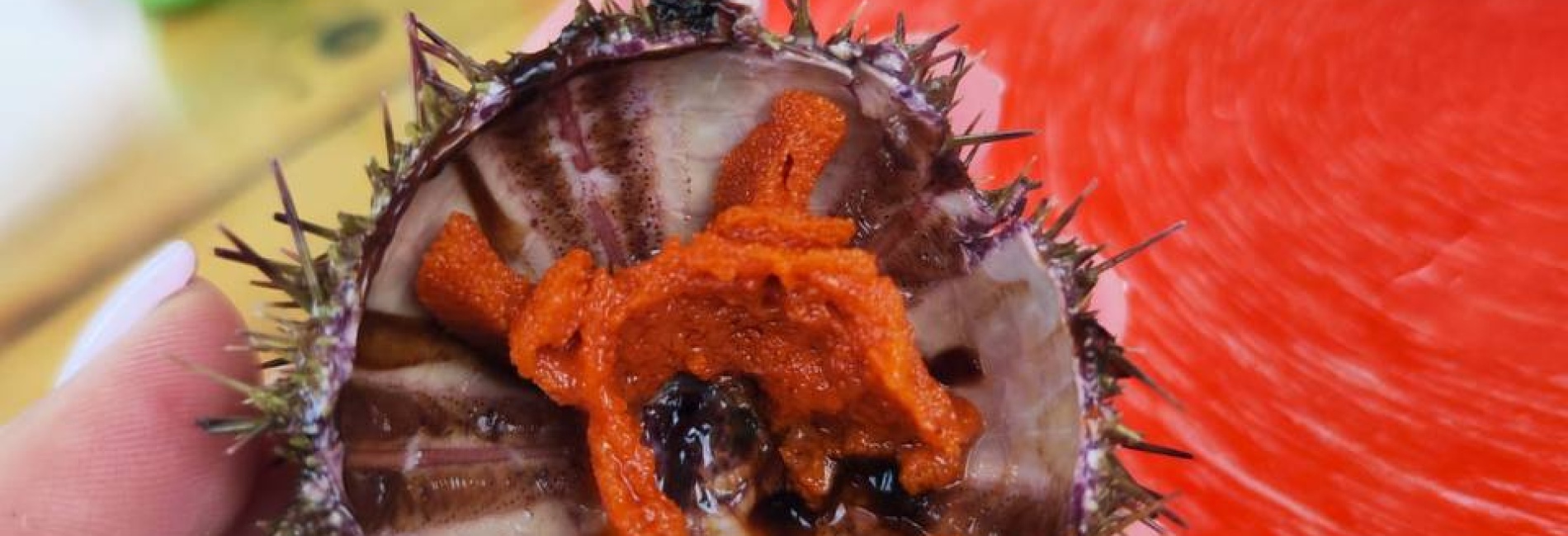 Крабовое Сафари и скалы Три Брата - морские прогулки и экскурсии на Камчатке с Азимут Тур